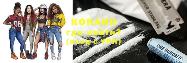 крисы Богородицк