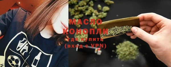 крисы Богородицк