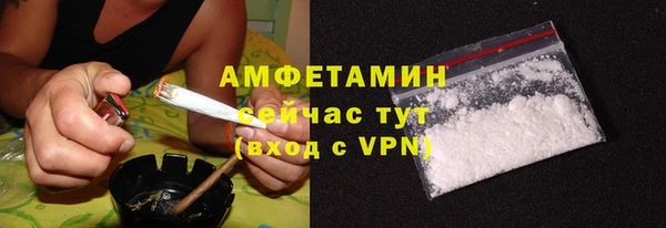 соль ск Богданович
