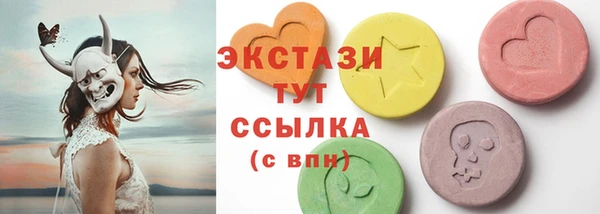 крисы Богородицк