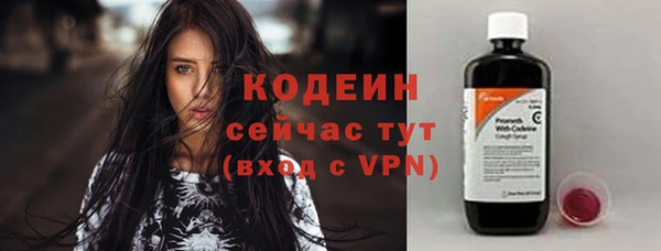 крисы Богородицк