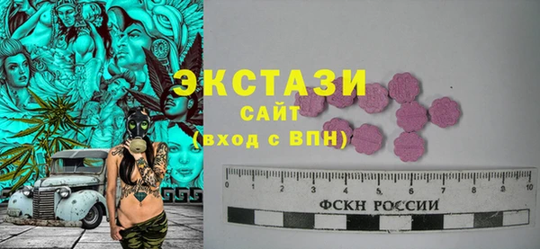 крисы Богородицк