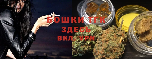 соль ск Богданович
