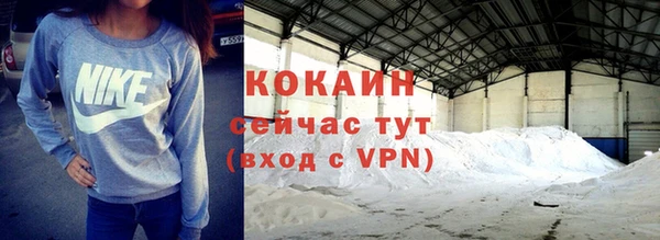 соль ск Богданович
