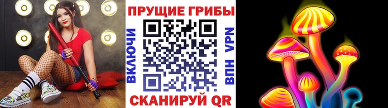 Псилоцибиновые грибы MAGIC MUSHROOMS  мега ссылки  Острогожск  где найти наркотики 